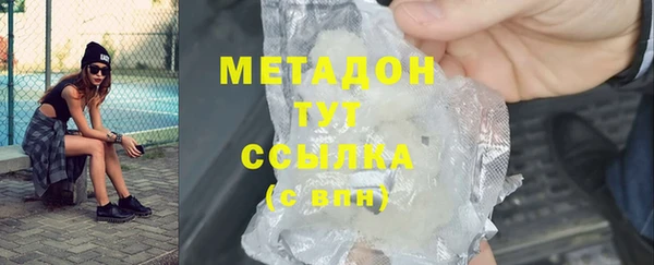 прущие грибы Абинск