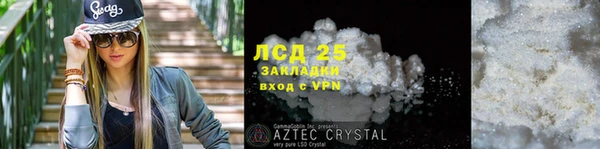 прущие грибы Абинск