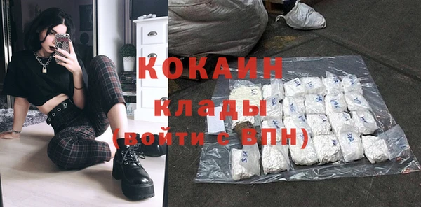 прущие грибы Абинск