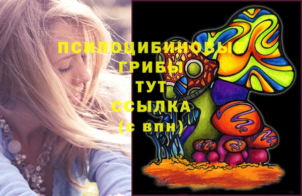 ешки Абдулино