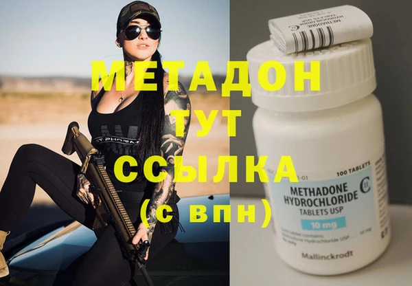 прущие грибы Абинск